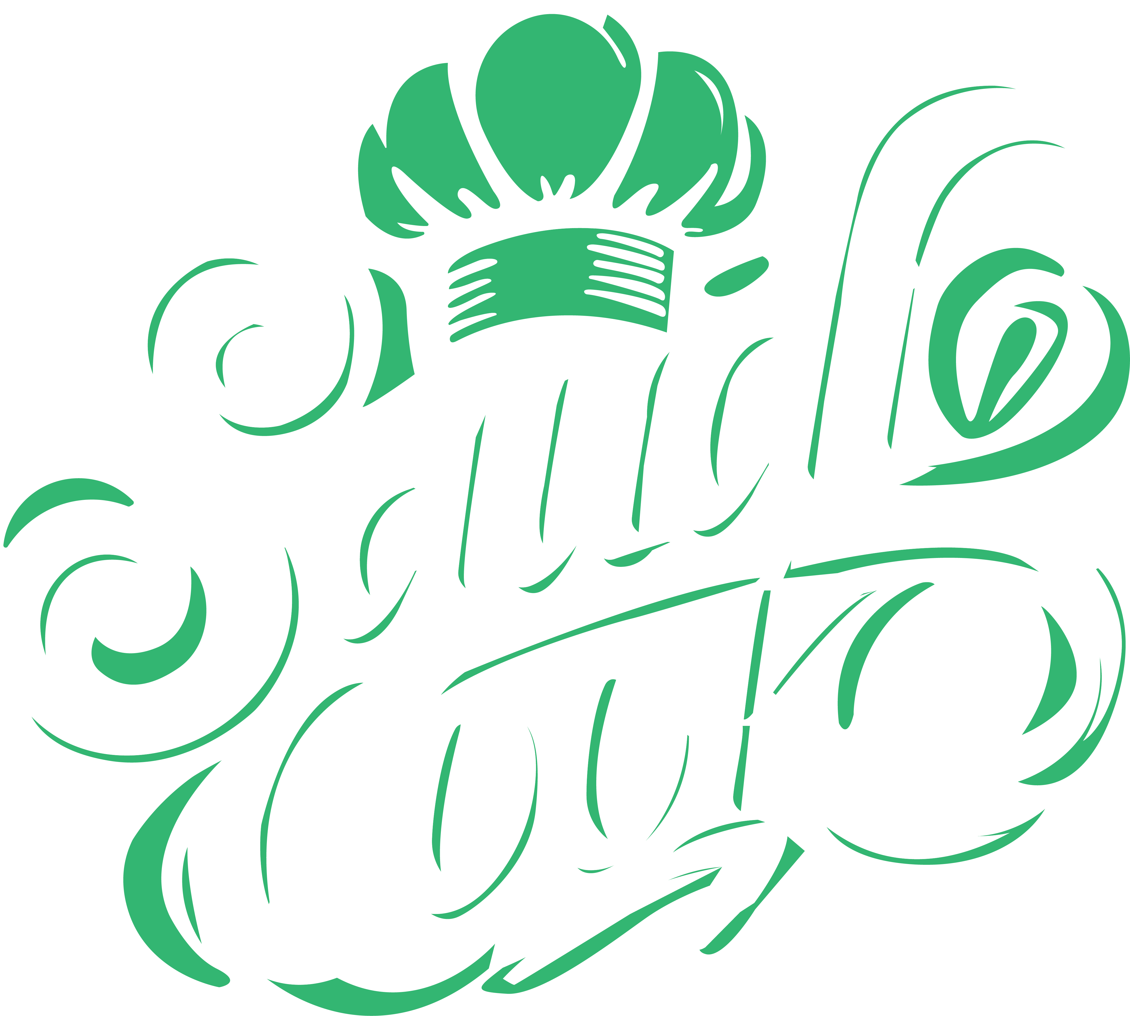 Saudi Cook